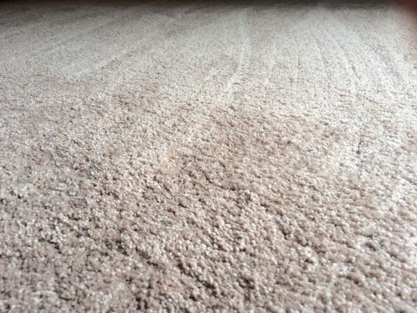Plush Carpet Installation in Pompano Beach