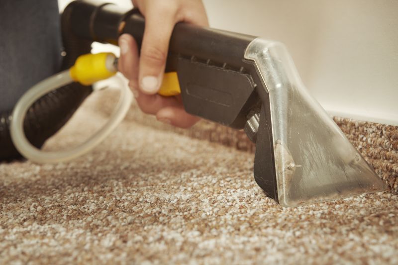 Carpet Cleaning Experts