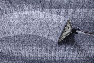 Professional Carpet Cleaning